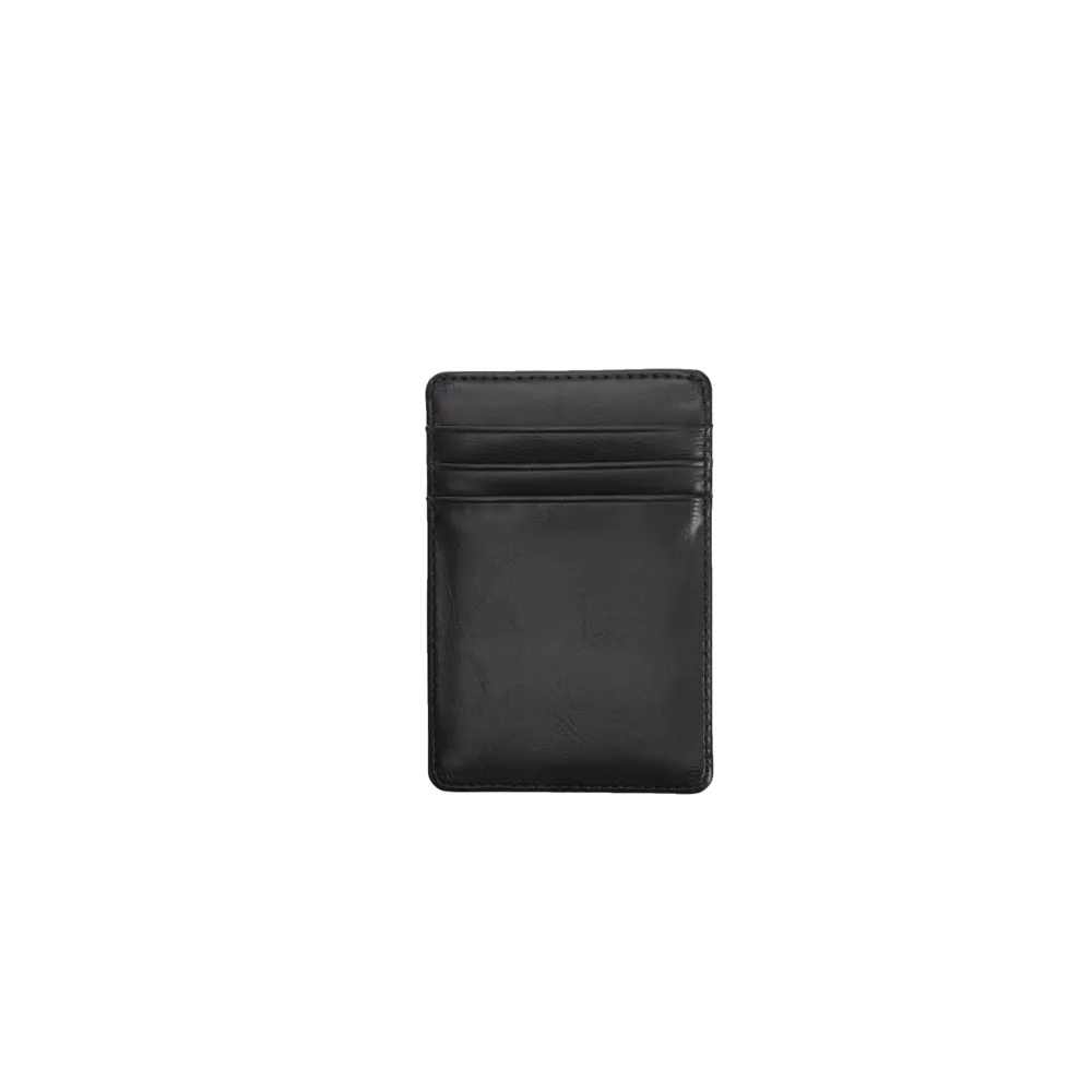 Asher Magnetic Money Clip Card Case